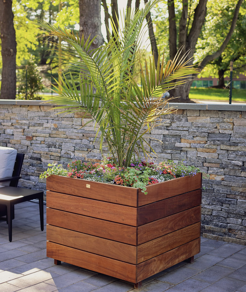 wooden square planter with green plant blooming